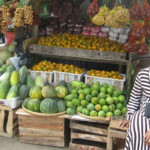 Fruit stall Tanjung Setia, Krui Sumatra